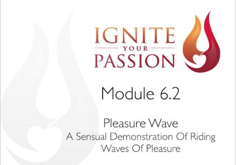 Ignite Your Passion - Module 6.2 - Pleasure Wave